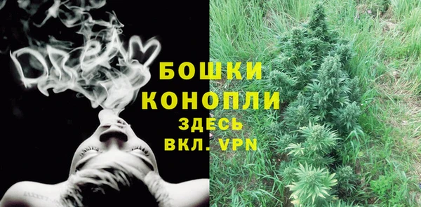 apvp Тайга