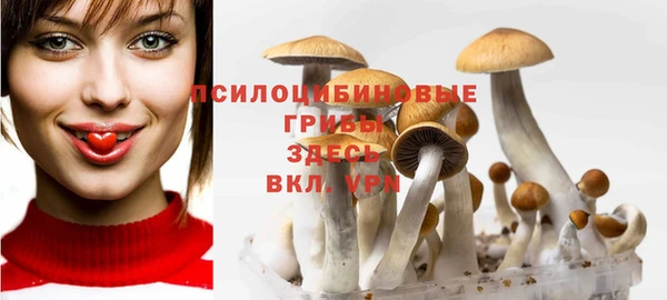 прущий лед Тавда