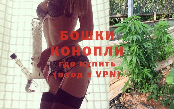 apvp Тайга
