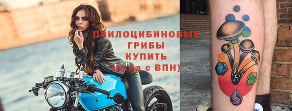 apvp Тайга